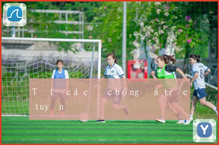 Tỷ lệ cá cược bóng đá trực tuyến