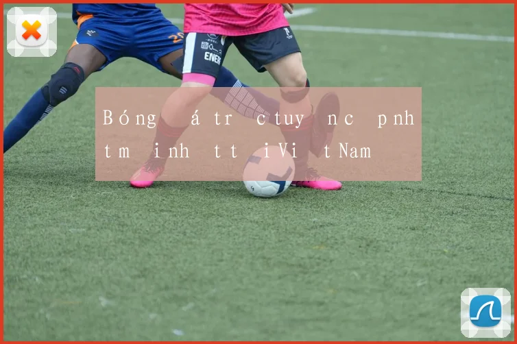 Bóng đá trực tuyến cập nhật mới nhất tại Việt Nam