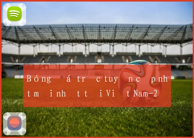 Bóng đá trực tuyến cập nhật mới nhất tại Việt Nam