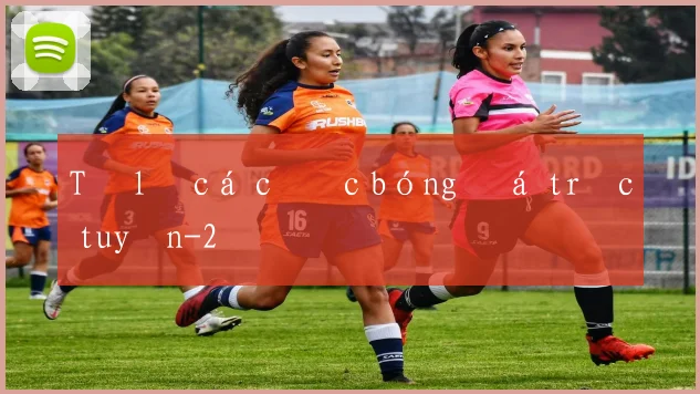 Tỷ lệ cá cược bóng đá trực tuyến